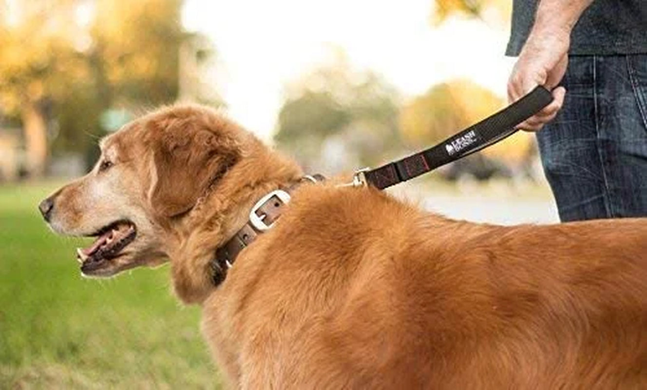 Short Dog Leash with Padded Handle - 12 Inch Leads for Large Dogs - 1 Inch Nylon | Black