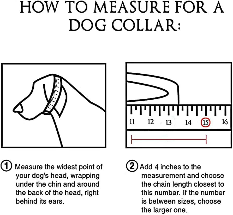 Dog Chain Collar Choke Collar Heavy Duty Chew Proof 19MM 14K Gold Plated Stainless Steel Dog Training Collar(19Mm, 26")