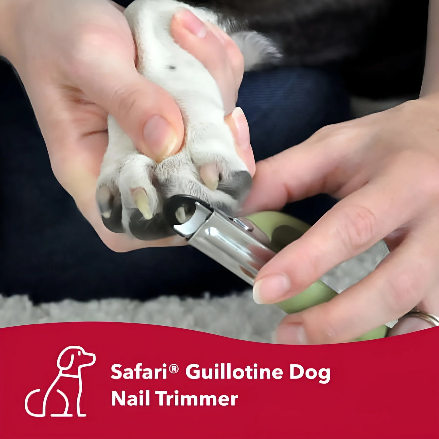 Safari Guillotine Nail Trimmer for Dogs Large