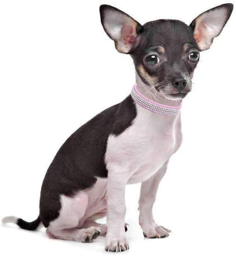 Cute Dazzling Sparkling Leather Dog Cat Rhinestone Collar Crystal Diamond Pet Dog Puppy Collar(Blue,M)