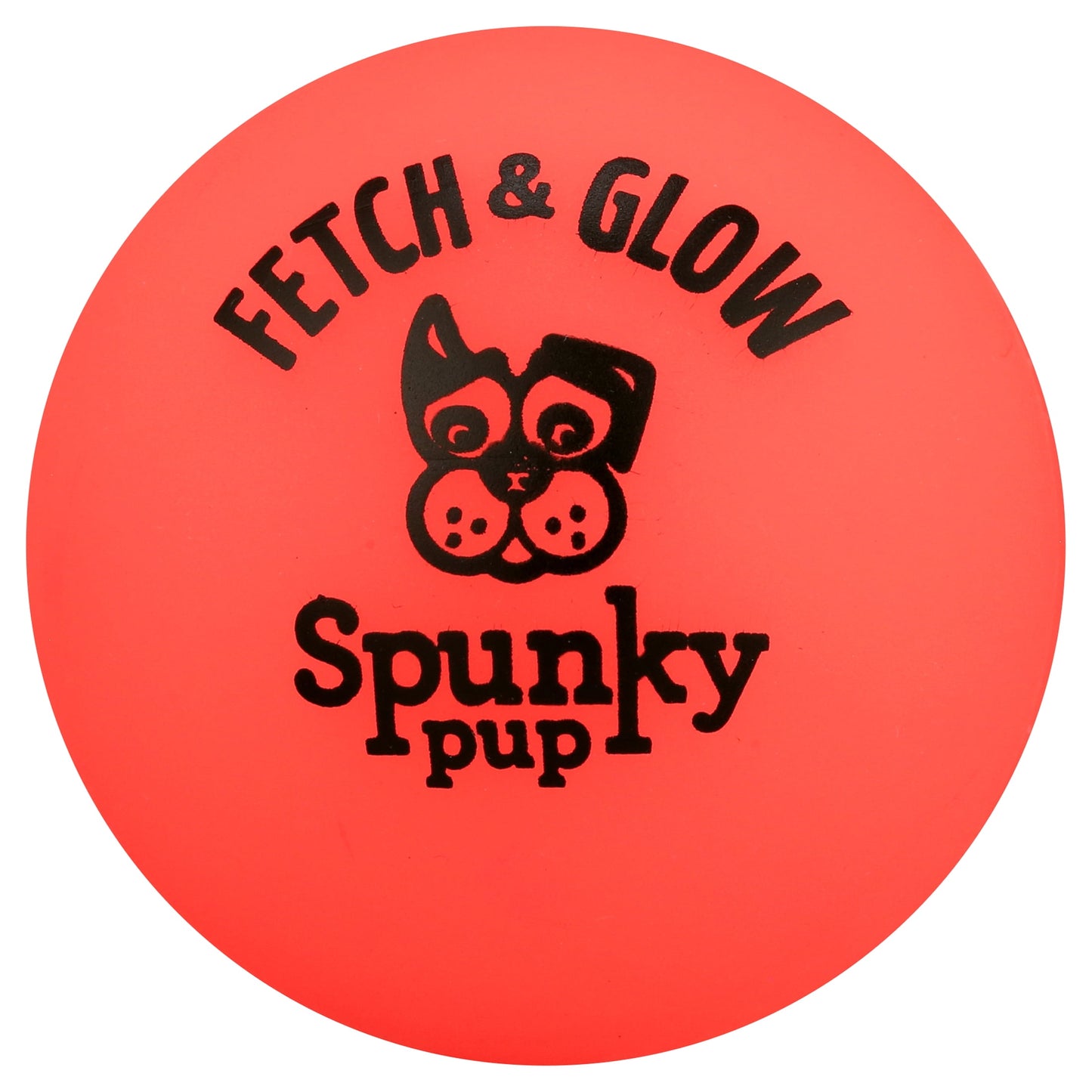 Fetch & Glow Ball Small 2-Pack Dog Toy