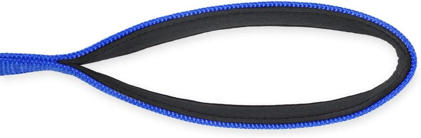 Durable and Comfy 18'' Nylon Short Leash with Super Soft Neoprene Lined Handle for Large Medium Boy and Girl Dogs - Daily Use Walking and Professional Training. (Bright Blue)