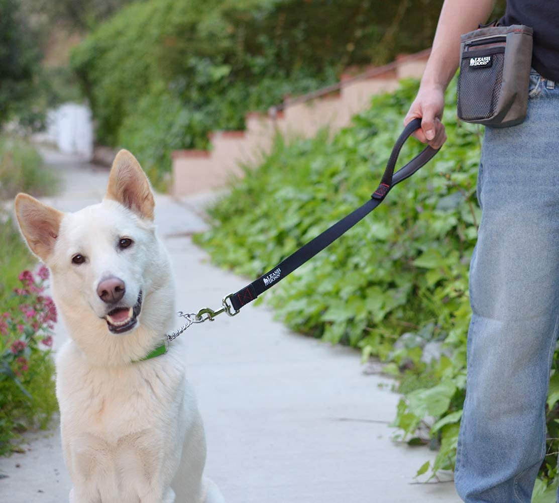 Short Dog Leash with Padded Handle - 24 Inch Leads for Large Dogs - 1 Inch Nylon | Black