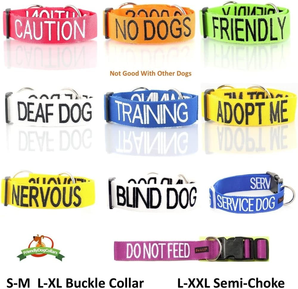 Service Dog Blue Color Coded S-M L-XL Buckle Dog Collar (Do Not Disturb) Prevents Accidents by Warning Others of Your Dog in Advance (L-XL Collar 15-25" Lx1.5 W)