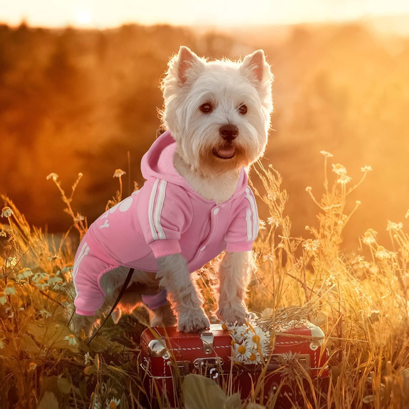 Dog Hoodie, Dog Clothes 4 Legs Sweatshirt Security Hoodies Jumpsuit Soft & Warm Sweater Outfit Pullover Dog Winter Coat, Dog Hoodies for Small Medium Large Dogs Cats Apparel(Pink,S)