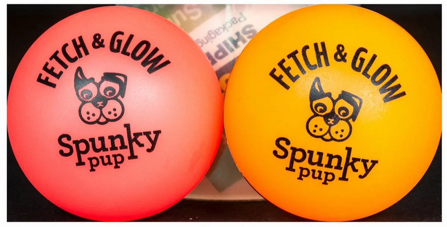 Fetch & Glow Ball Small 2-Pack Dog Toy