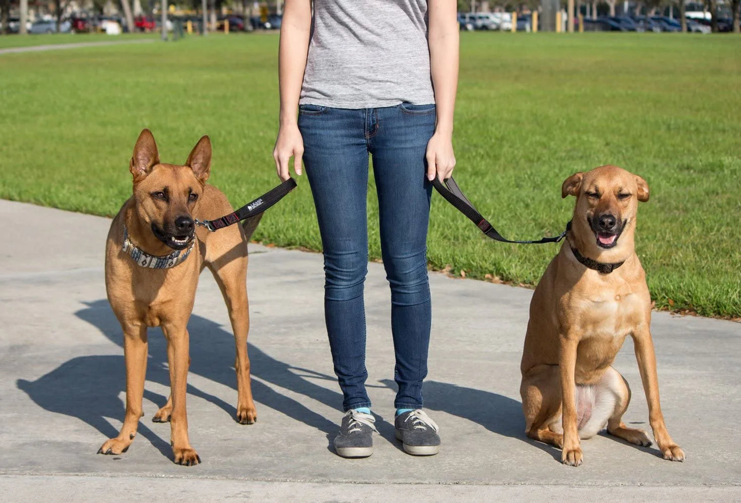 Short Dog Leash with Padded Handle - 12 Inch Leads for Large Dogs - 1 Inch Nylon | Black
