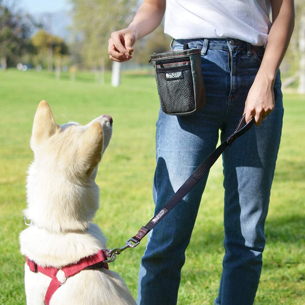 Short Dog Leash with Padded Handle - 24 Inch Leads for Large Dogs - 1 Inch Nylon | Black