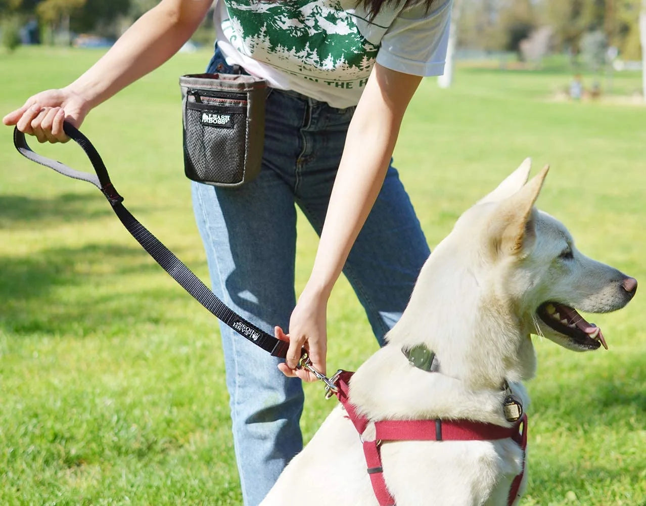 Short Dog Leash with Padded Handle - 24 Inch Leads for Large Dogs - 1 Inch Nylon | Black