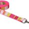 Large Neon Pink/Multi Stripe Dog Leash: 1" Wide, 6Ft Length - Made in USA.