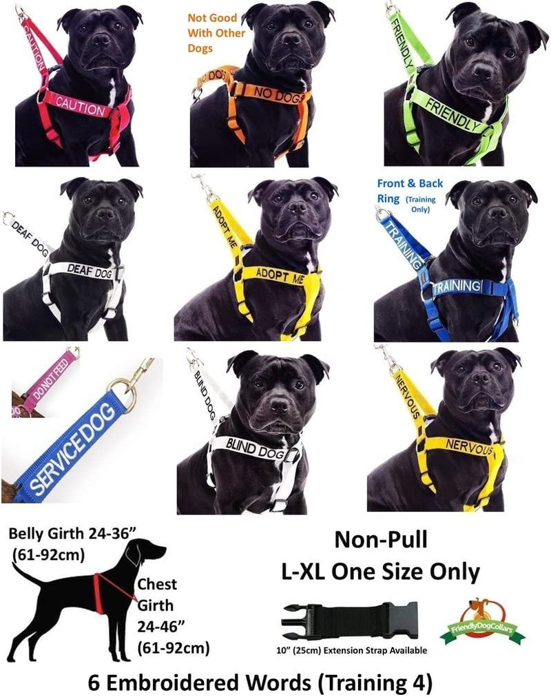 Service Dog Blue Color Coded S-M L-XL Buckle Dog Collar (Do Not Disturb) Prevents Accidents by Warning Others of Your Dog in Advance (L-XL Collar 15-25" Lx1.5 W)