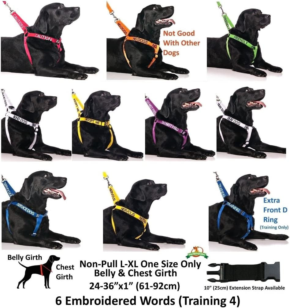 Service Dog Blue Color Coded S-M L-XL Buckle Dog Collar (Do Not Disturb) Prevents Accidents by Warning Others of Your Dog in Advance (L-XL Collar 15-25" Lx1.5 W)