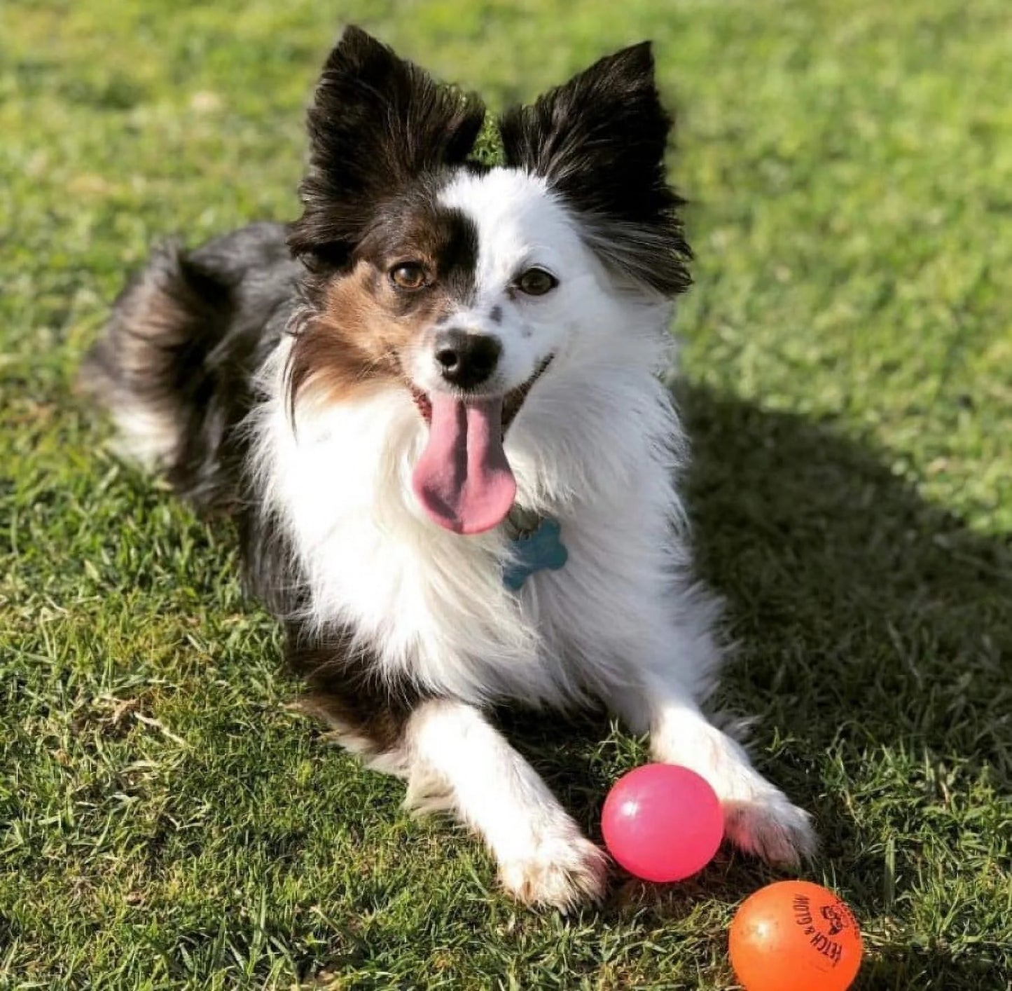 Fetch & Glow Ball Small 2-Pack Dog Toy