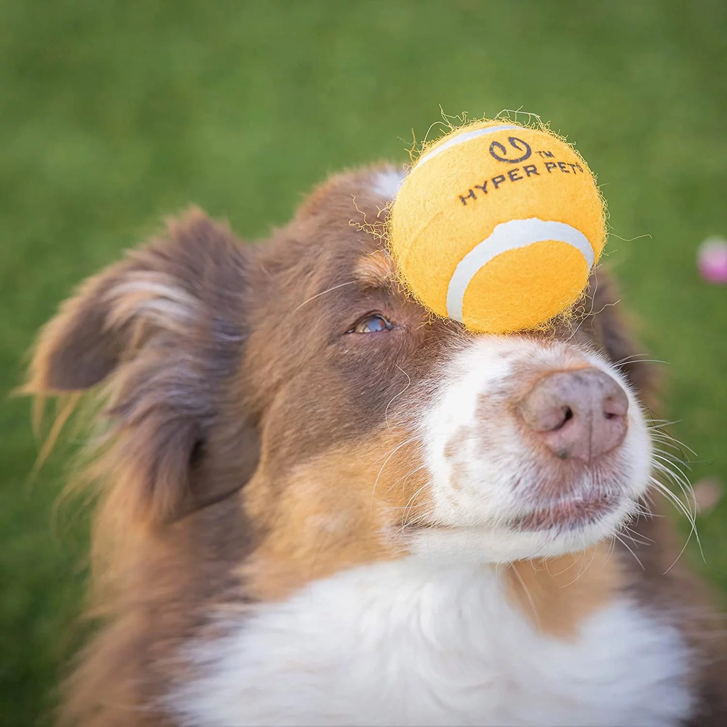 Tennis Balls Dog Fetch Toys for Small Medium Dogs, Orange, Pack of 4