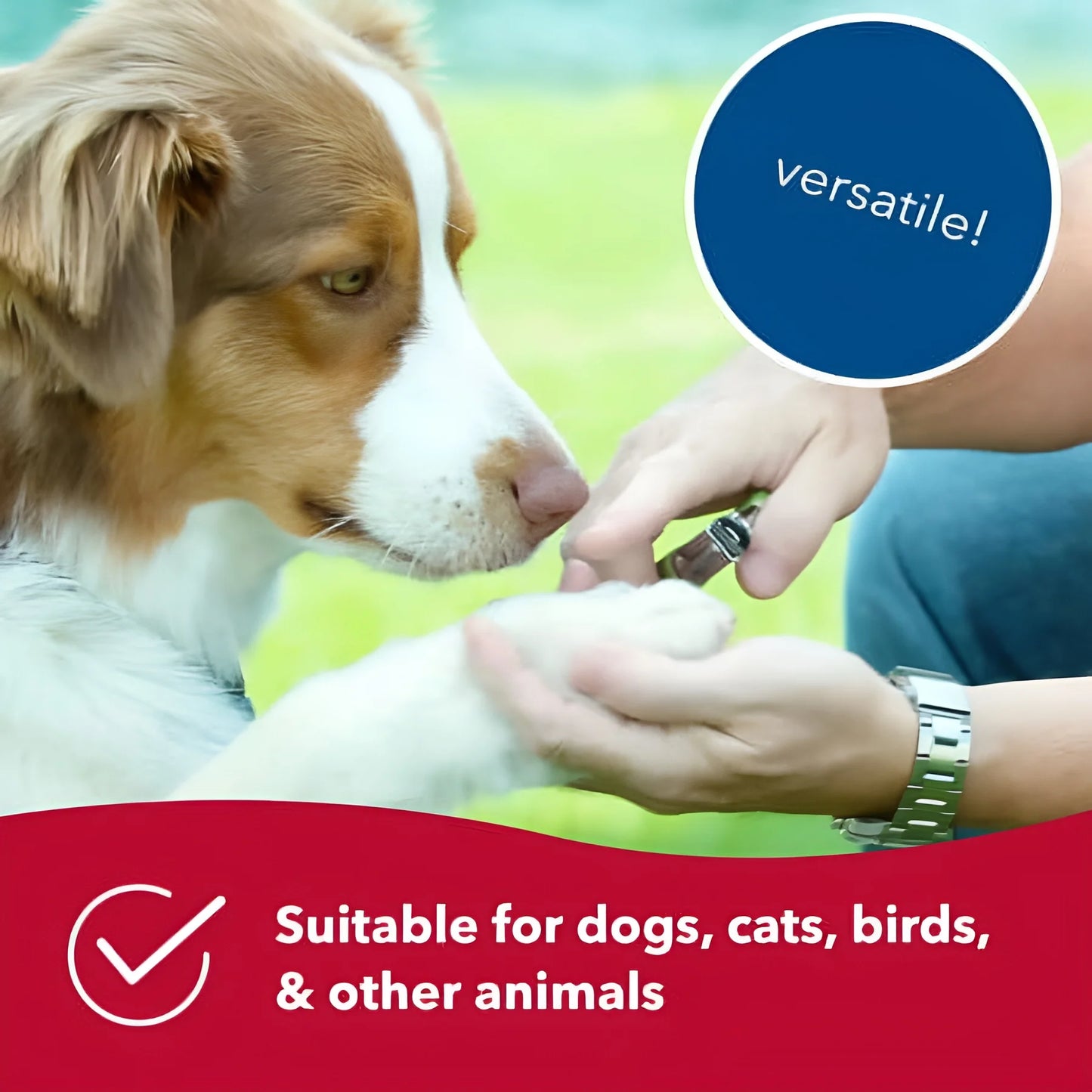 Safari Guillotine Nail Trimmer for Dogs Large