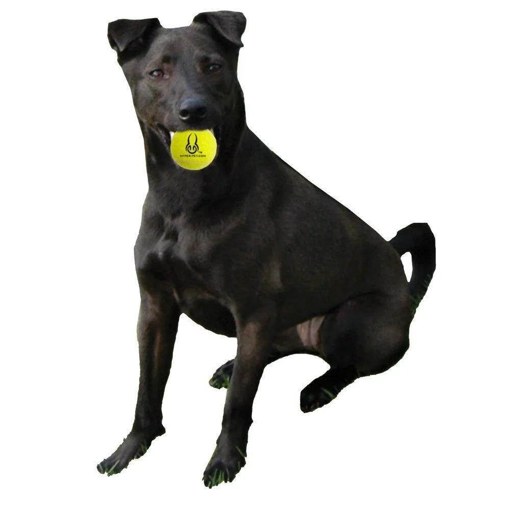 Tennis Balls Dog Fetch Toys for Small Medium Dogs, Orange, Pack of 4