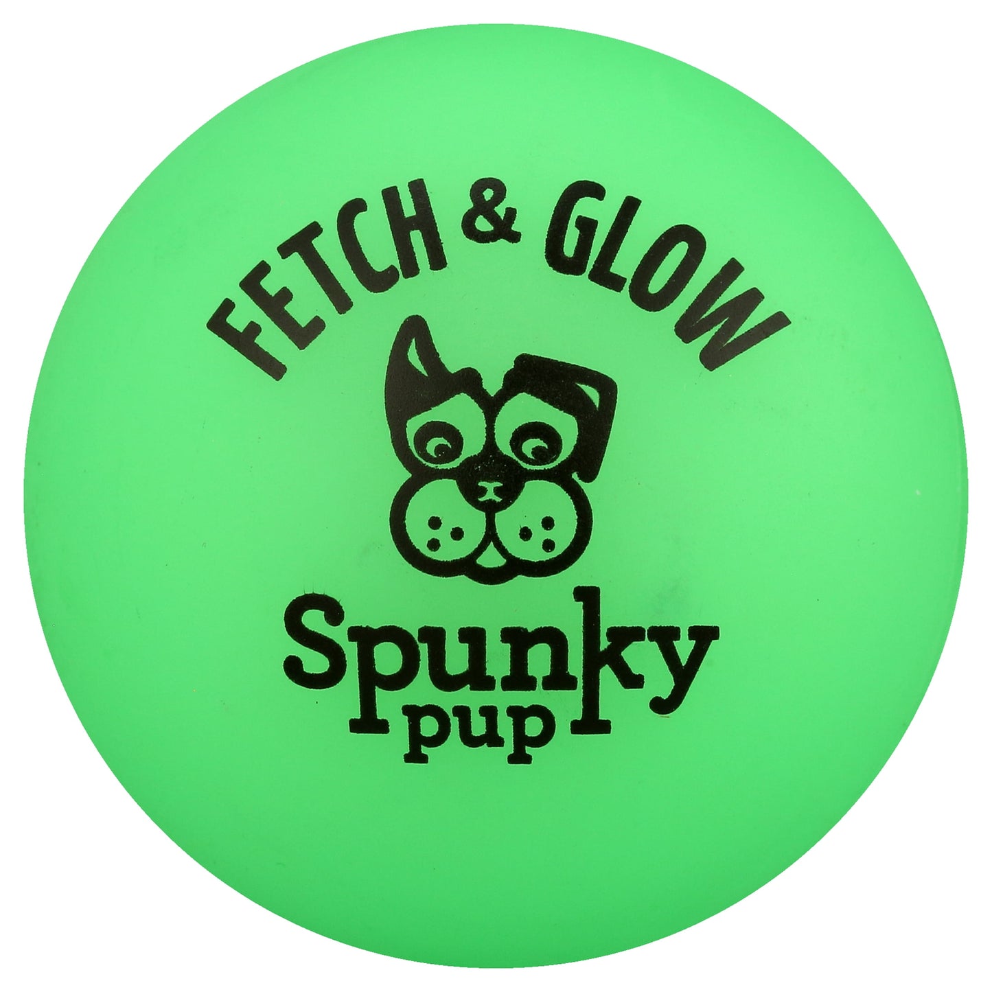 Fetch & Glow Ball Small 2-Pack Dog Toy