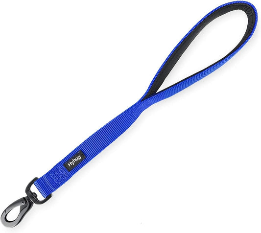 Durable and Comfy 18'' Nylon Short Leash with Super Soft Neoprene Lined Handle for Large Medium Boy and Girl Dogs - Daily Use Walking and Professional Training. (Bright Blue)