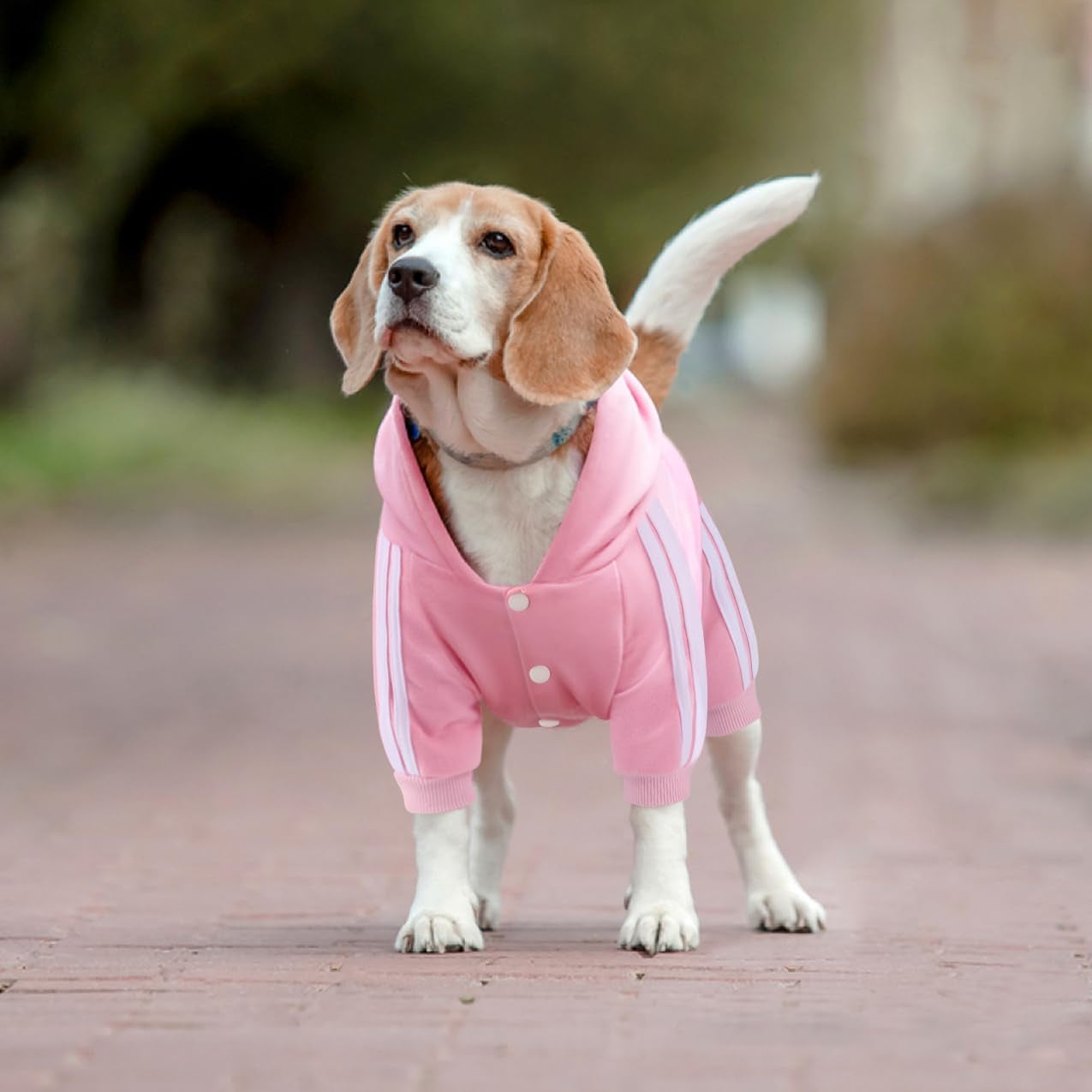 Dog Hoodie, Dog Clothes 4 Legs Sweatshirt Security Hoodies Jumpsuit Soft & Warm Sweater Outfit Pullover Dog Winter Coat, Dog Hoodies for Small Medium Large Dogs Cats Apparel(Pink,S)