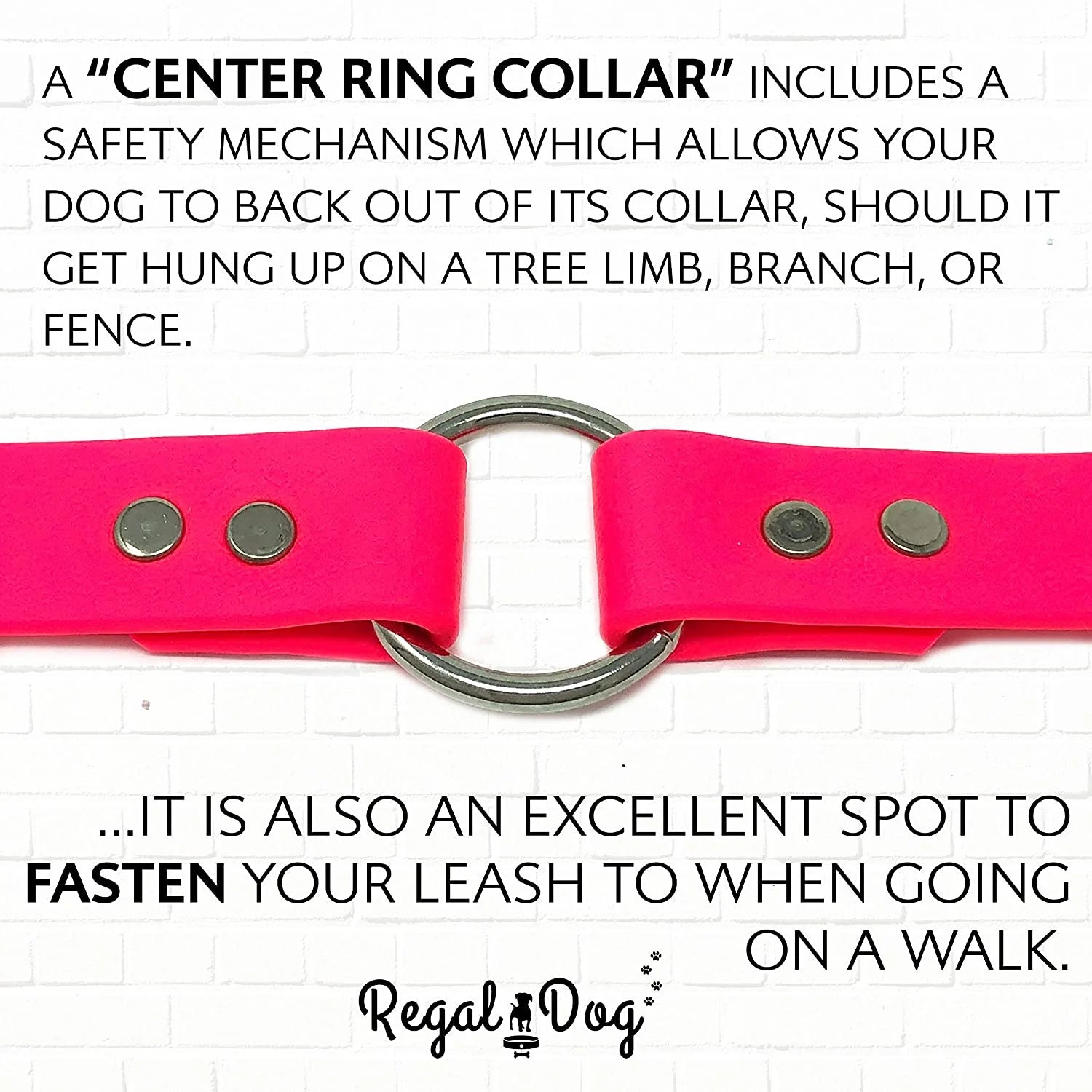 Waterproof Collar – Heavy Duty Center Ring, Double Buckle & D Ring