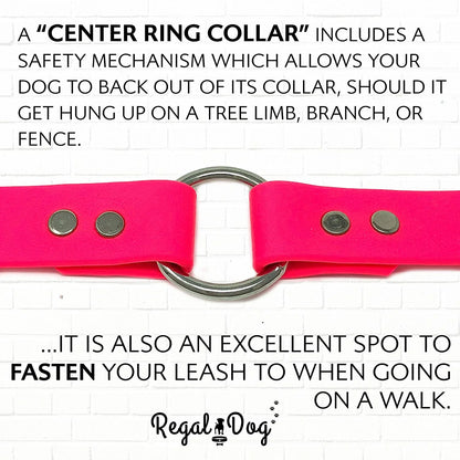 Waterproof Collar – Heavy Duty Center Ring, Double Buckle & D Ring