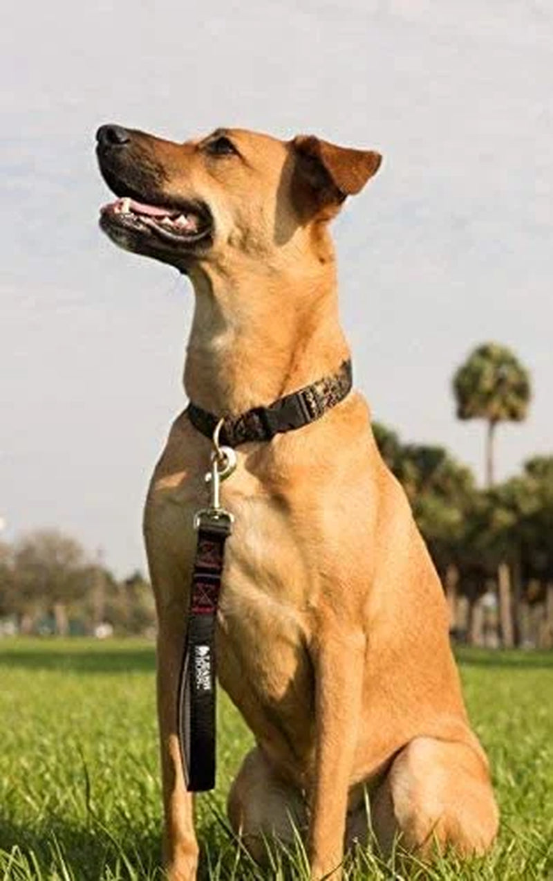 Short Dog Leash with Padded Handle - 12 Inch Leads for Large Dogs - 1 Inch Nylon | Black