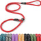 Dog Leash Dog Slip Rope Leash 1/2" X 6FT Dog Training Leash Heavy Duty Strong Slip Lead Highly Reflective Threads for Small Medium and Large Dogs(Red)