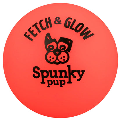 Fetch & Glow Ball Small 2-Pack Dog Toy