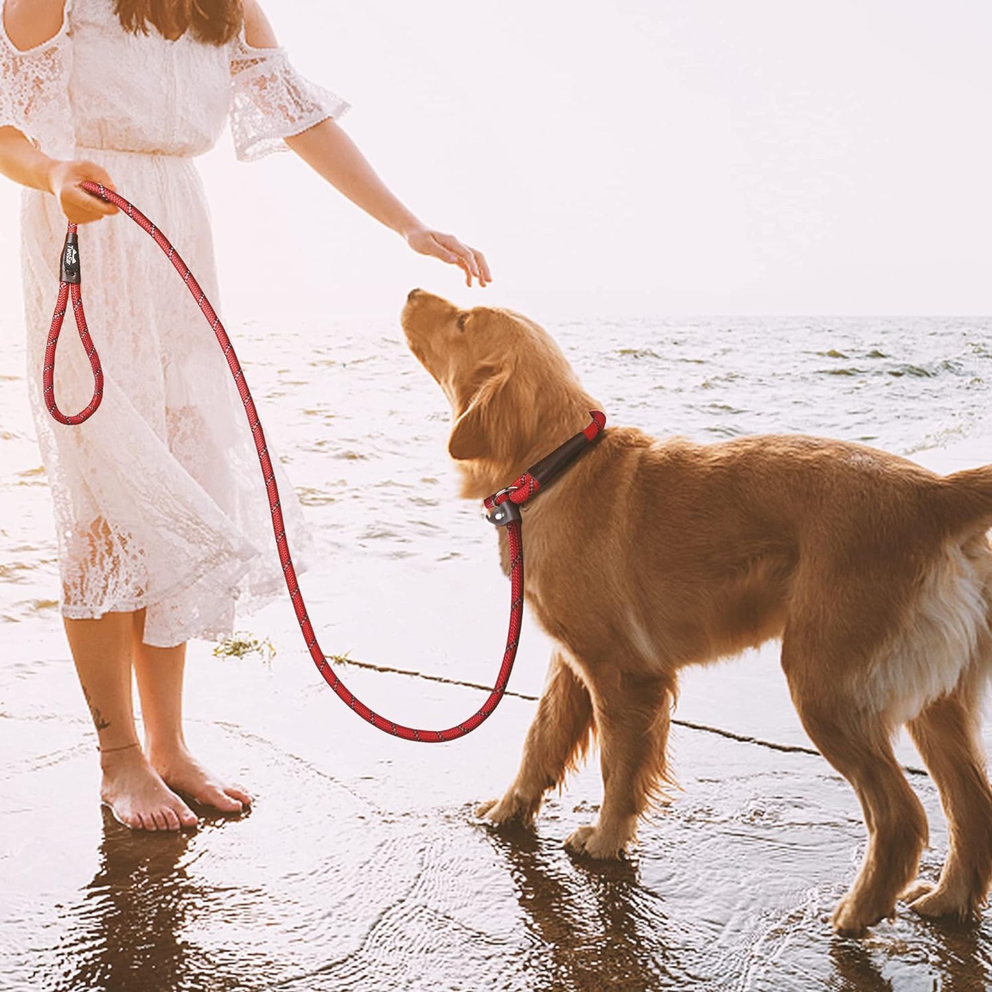 Dog Leash Dog Slip Rope Leash 1/2" X 6FT Dog Training Leash Heavy Duty Strong Slip Lead Highly Reflective Threads for Small Medium and Large Dogs(Red)