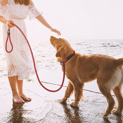 Dog Leash Dog Slip Rope Leash 1/2" X 6FT Dog Training Leash Heavy Duty Strong Slip Lead Highly Reflective Threads for Small Medium and Large Dogs(Red)