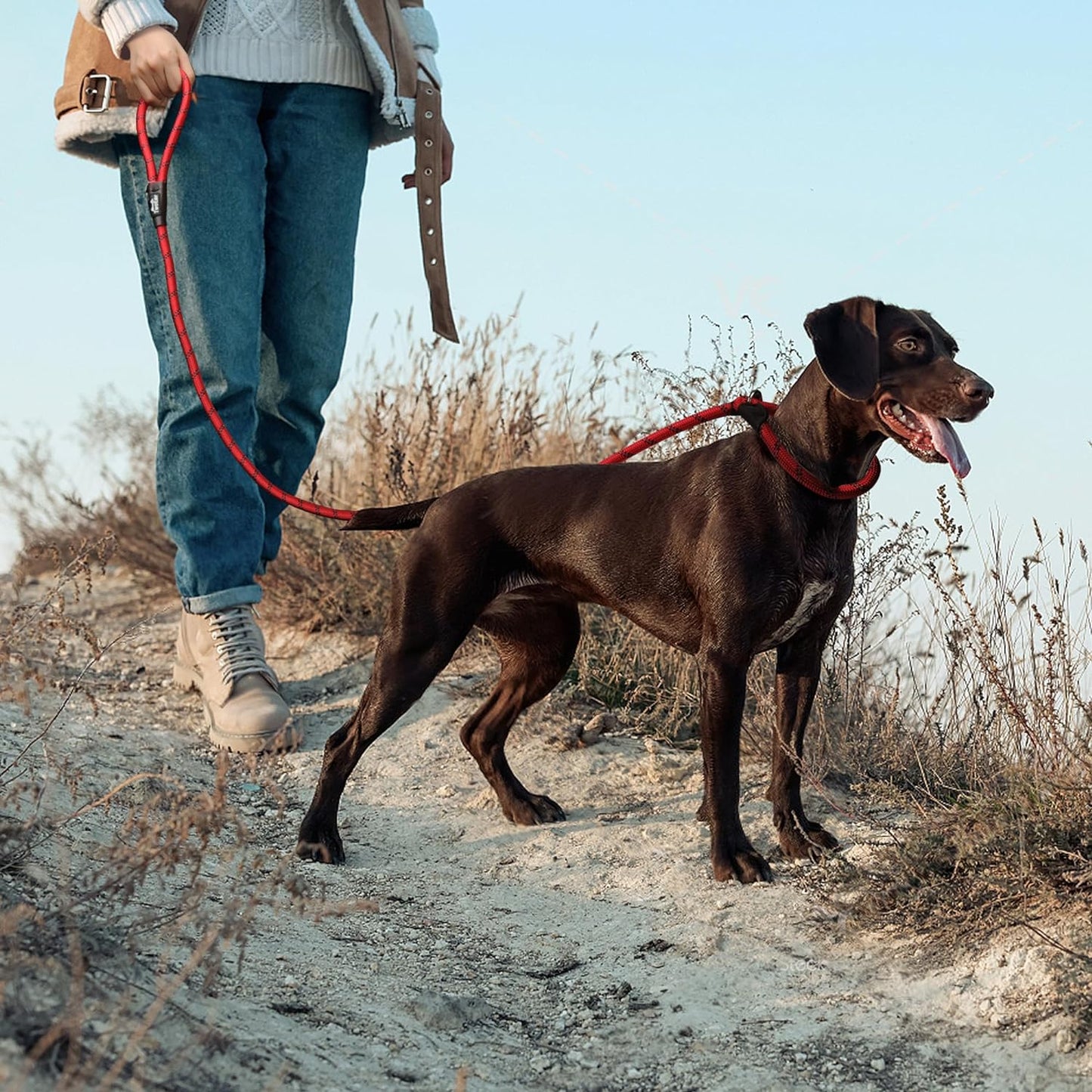 Dog Leash Dog Slip Rope Leash 1/2" X 6FT Dog Training Leash Heavy Duty Strong Slip Lead Highly Reflective Threads for Small Medium and Large Dogs(Red)