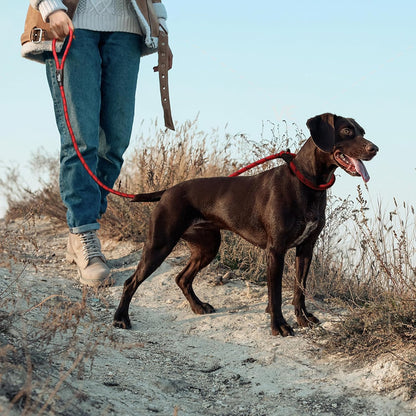 Dog Leash Dog Slip Rope Leash 1/2" X 6FT Dog Training Leash Heavy Duty Strong Slip Lead Highly Reflective Threads for Small Medium and Large Dogs(Red)