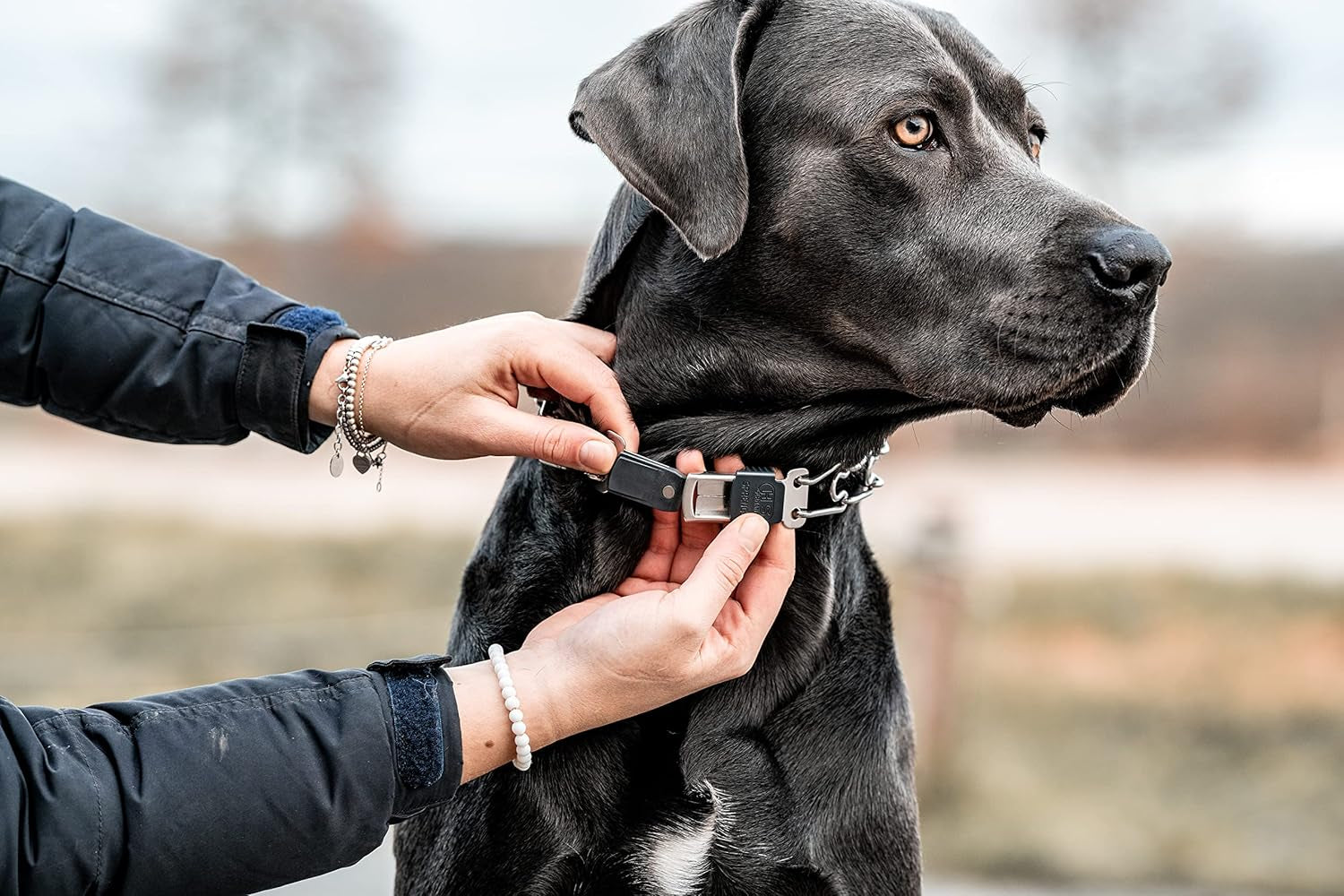 Dog Training Prong Collar with Quick Release Cliclock Buckle and Swivel Ring Adjustable Length German Made Stainless Steel Collar for Small to Medium Dogs up to 15" Neck (2.25Mm Prongs)