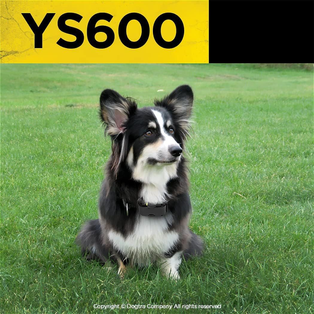 YS600 anti Bark Collar for Medium to Large Dogs, Adjustable 10 Intensity Levels, Vibration Warning, Low/High Stimulation, Waterproof, 2-Hour Quick Charge Rechargeable Battery, W/Petstek Clicker