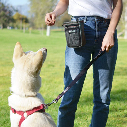 Short Dog Leash with Padded Handle - 24 Inch Leads for Large Dogs - 1 Inch Nylon | Black