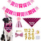 Dog Birthday Bandana, Dog Birthday Party Set, Dog Birthday Girl Bandana Triangle Scarf with Cute Dog Birthday Number Hat Bowtie Dog Birthday Banner for Dog Birthday Party Supplies (Pink)