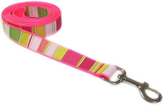 Large Neon Pink/Multi Stripe Dog Leash: 1" Wide, 6Ft Length - Made in USA.