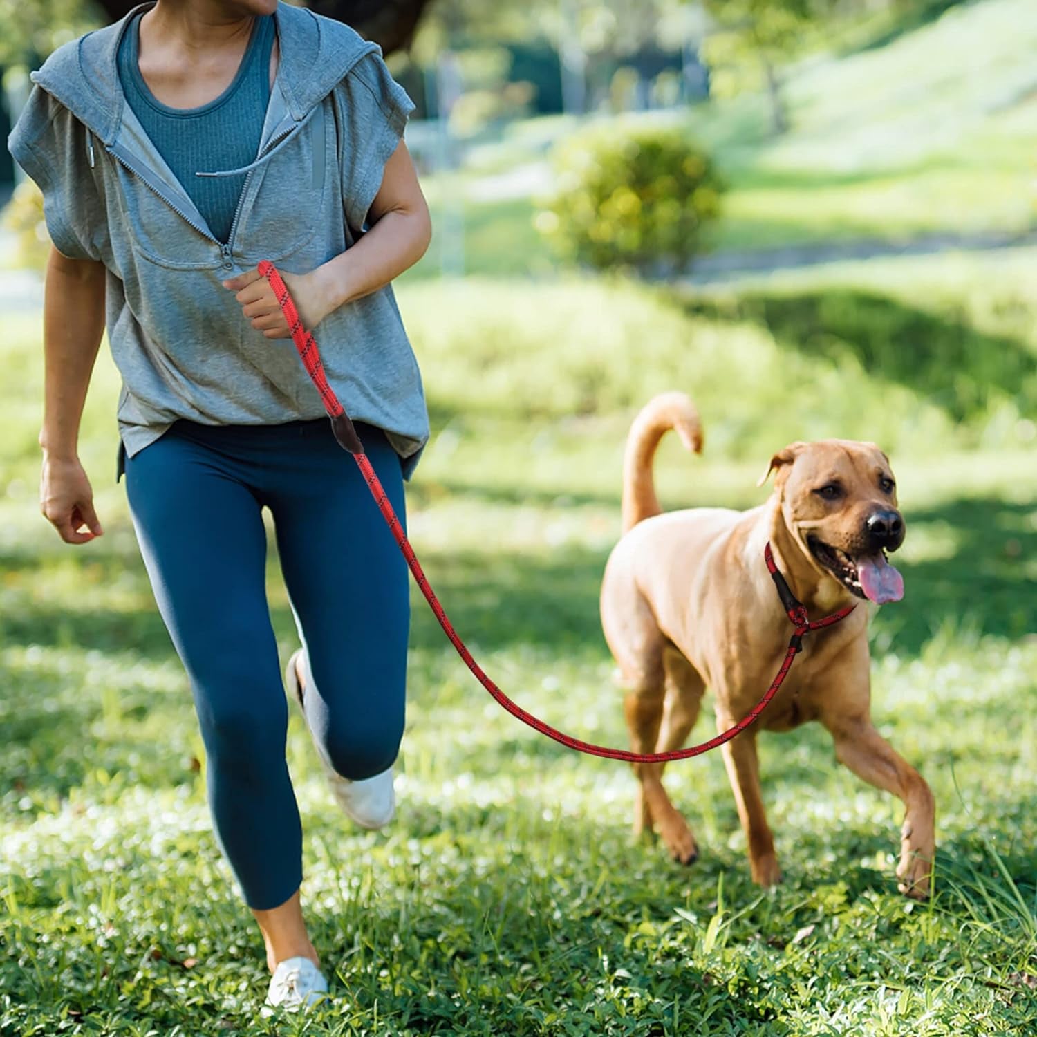 Dog Leash Dog Slip Rope Leash 1/2" X 6FT Dog Training Leash Heavy Duty Strong Slip Lead Highly Reflective Threads for Small Medium and Large Dogs(Red)