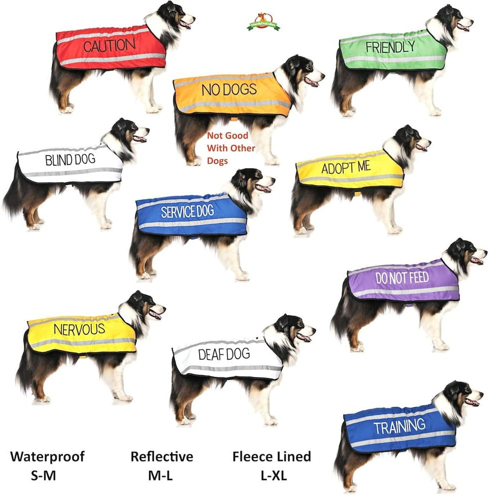 Service Dog Blue Color Coded S-M L-XL Buckle Dog Collar (Do Not Disturb) Prevents Accidents by Warning Others of Your Dog in Advance (L-XL Collar 15-25" Lx1.5 W)