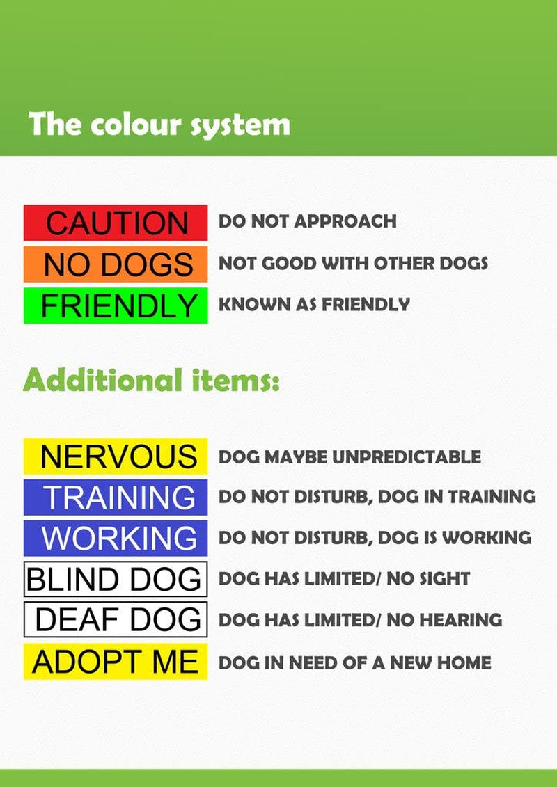 Service Dog Blue Color Coded S-M L-XL Buckle Dog Collar (Do Not Disturb) Prevents Accidents by Warning Others of Your Dog in Advance (L-XL Collar 15-25" Lx1.5 W)