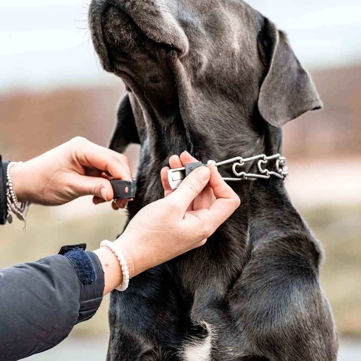 Cliclock Fastener Stainless Steel Buckle for Prong Dog Training Collar & Quick Release with Easy Buckle for Medium Large Dogs (3.0/3.2Mm)