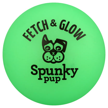 Fetch & Glow Ball Small 2-Pack Dog Toy