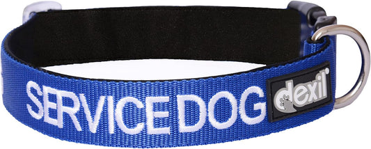 Service Dog Blue Color Coded S-M L-XL Buckle Dog Collar (Do Not Disturb) Prevents Accidents by Warning Others of Your Dog in Advance (L-XL Collar 15-25" Lx1.5 W)