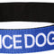 Service Dog Blue Color Coded S-M L-XL Buckle Dog Collar (Do Not Disturb) Prevents Accidents by Warning Others of Your Dog in Advance (L-XL Collar 15-25" Lx1.5 W)
